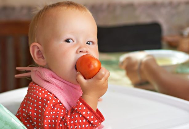 Introducing Tomato to Your Baby