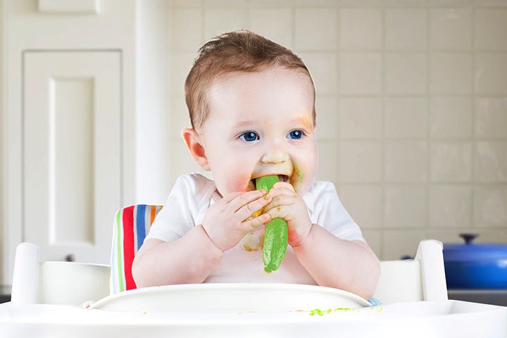 Introducing Zucchini to Your Baby