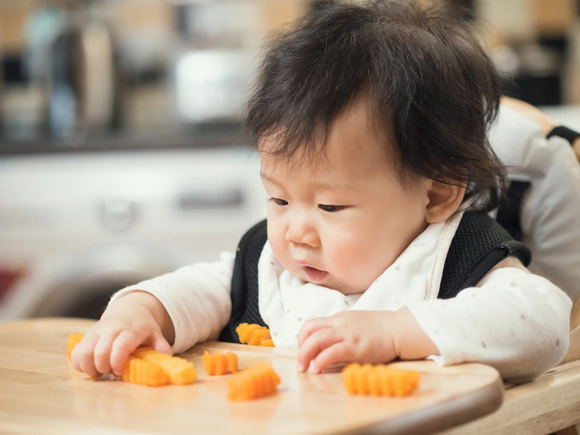 Introducing Butternut Squash to Your Baby