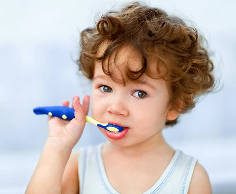 Best Toddler Toothbrushes & Toothpaste Guide