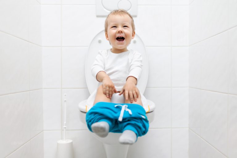 A 3-Day Toddler Potty Training with Tips